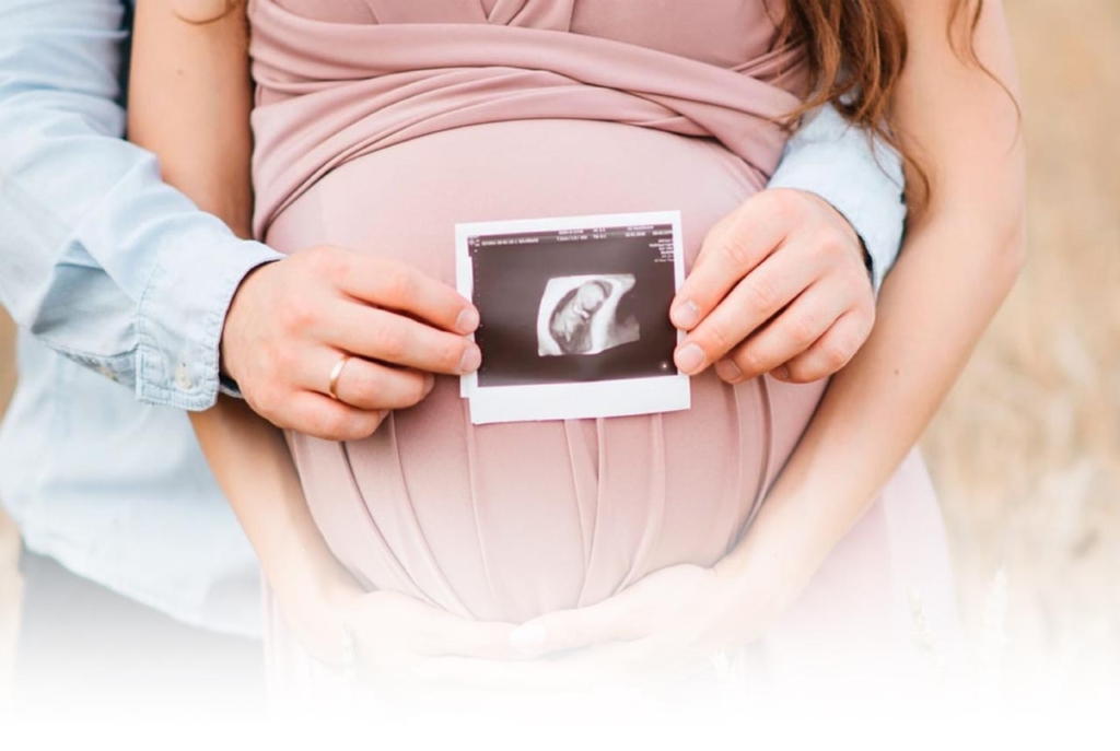 Fertilidad
